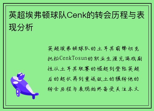 英超埃弗顿球队Cenk的转会历程与表现分析